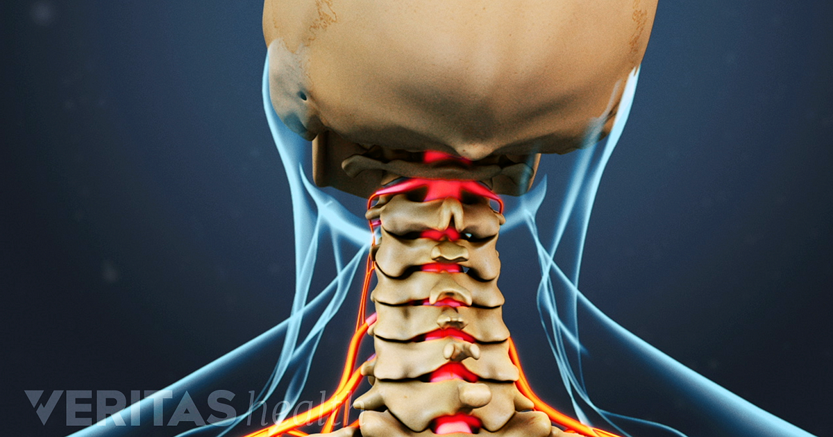 Spine Cracks With Movement